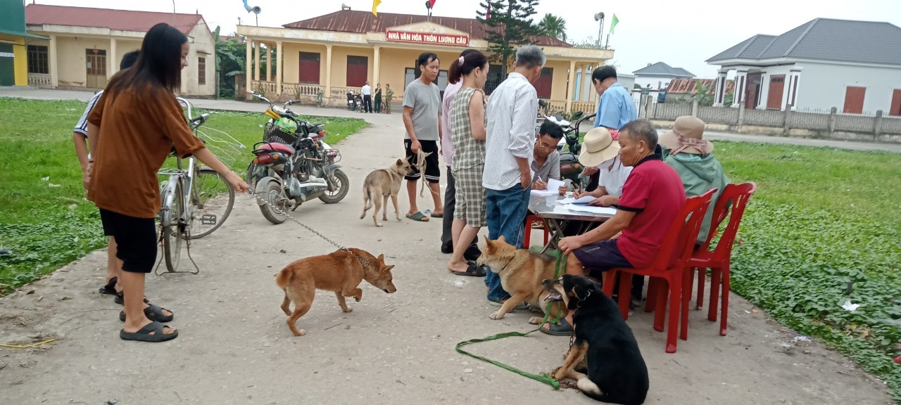 Ủy ban nhân dân xã Tân Viên là đơn vị điểm của huyện An Lão trong việc thực hiện tiêm Vắc xin phòng bệnh Dại cho đàn chó, mèo nuôi năm 2024
