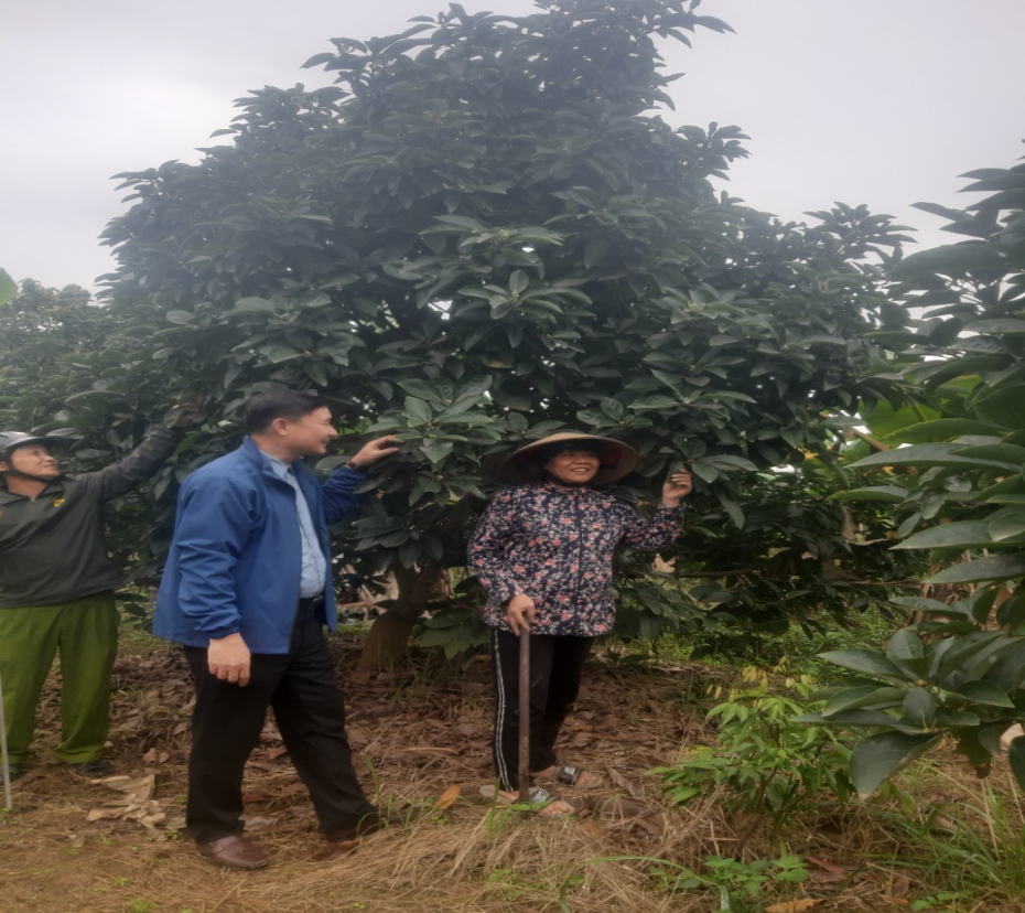 Hướng dẫn kỹ thuật chăm sóc cây trồng xã Hợp Thành, huyện Thủy Nguyên vụ Xuân 2024