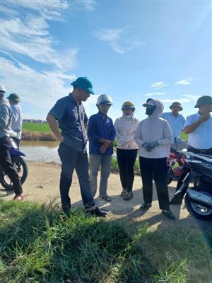 Hội nghị thăm đồng kiểm tra đồng ruộng, đánh giá tình hình sinh trưởng phát triển cây lúa, thảo luận các biện pháp phòng, chống sâu bệnh hại trên lúa vụ mùa 2025 tại xã Kiến Hưng, thành phố Hải Phòng