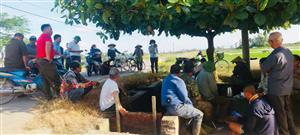 Xã An Khánh: Khuyến nông viên sát cánh cùng nông dân phòng trừ rầy lưng trắng, bảo vệ lúa Mùa       