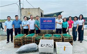 Hải Phòng tập trung chuyển giao kỹ thuật nuôi một số loài thuỷ đặc sản có giá trị kinh tế cao