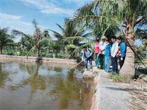 Dương Kinh: Chủ động phòng chống nắng nóng, bảo vệ thủy sản nuôi trồng