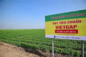 Hải Phòng tích cực chuẩn bị Diễn đàn Khuyến nông @ kết nối nông sản vụ Đông năm 2025