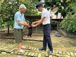 Huyện Kiến Thụy triển khai tổ chức tiêm phòng dại cho đàn chó mèo năm 2024