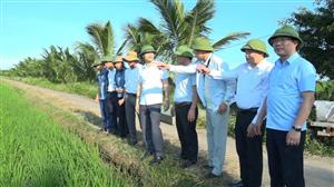 UBND xã Nguyễn Bỉnh Khiêm kiểm tra tình hình sâu bệnh hại lúa vụ mùa 2025