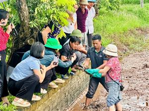 Hội thảo tham quan mô hình nuôi rươi kết hợp sản xuất lúa gắn với liên kết tiêu thụ sản phẩm