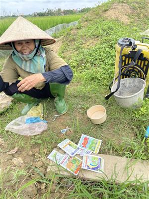 Nông dân huyện An Dương tích cực phòng trừ sâu cuốn lá nhỏ lúa 2 bảo vệ lúa Xuân 2022