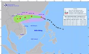 Công văn số 4147/SNNMT-VP, ngày 19 tháng 7 năm 2025 về việc chủ động phòng ngừa, ứng phó với diễn biến bão số 03 và mưa, lũ trên địa bàn thành phố Hải Phòng