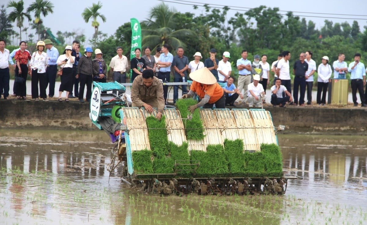 Hải Phòng: Cánh đồng công nghệ giải pháp đột phá trong sản xuất lúa