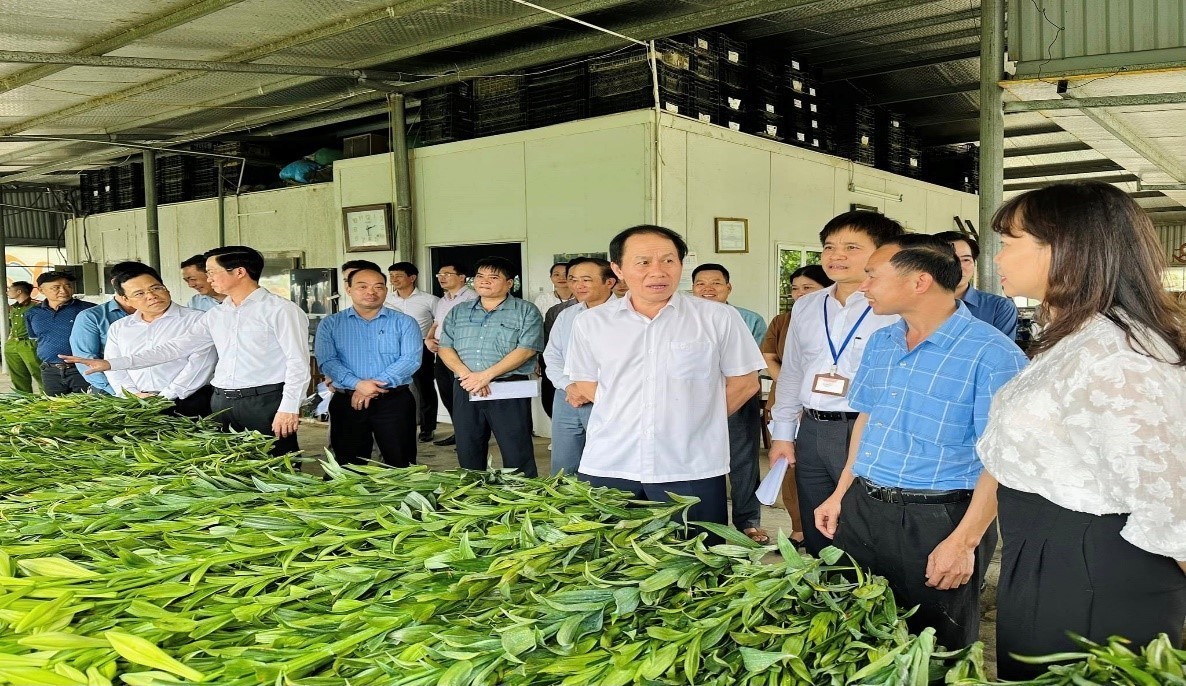 Người " Thổi hồn" cho vùng hoa - Ông Đỗ Văn Sanh và dấu ấn sao thần nông