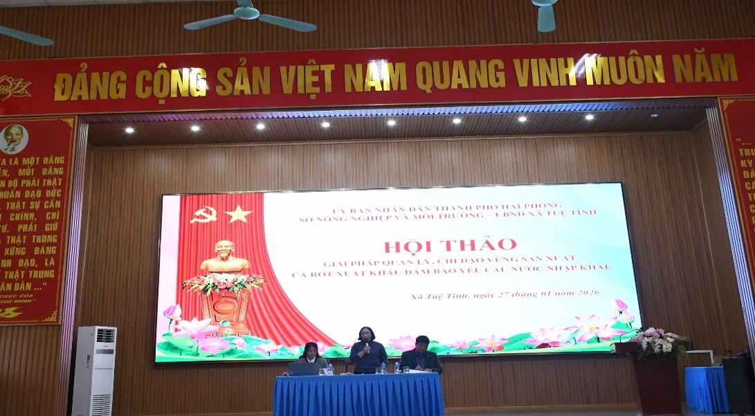 Hải Phòng tăng cường quản lý vùng sản xuất cà rốt xuất khẩu, đáp ứng yêu cầu thị trường nhập khẩu