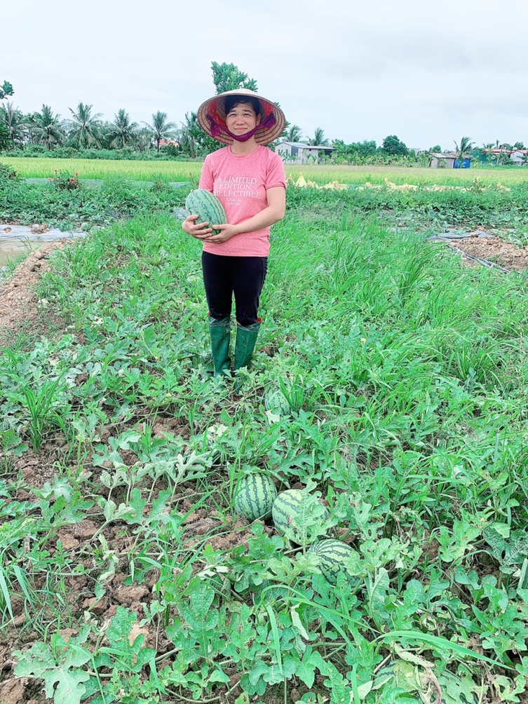 Hội Nông dân huyện tổ chức thăm quan mô hình trồng rau má tại xã Đồng Lợi