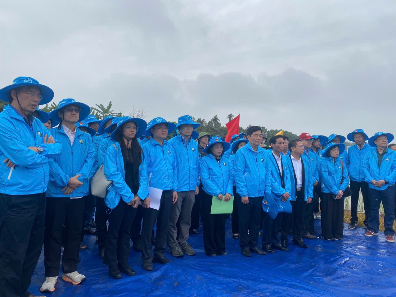 Hải Phòng khởi động mô hình canh tác lúa hiệu quả cao, phát thải thấp tại xã Tân An