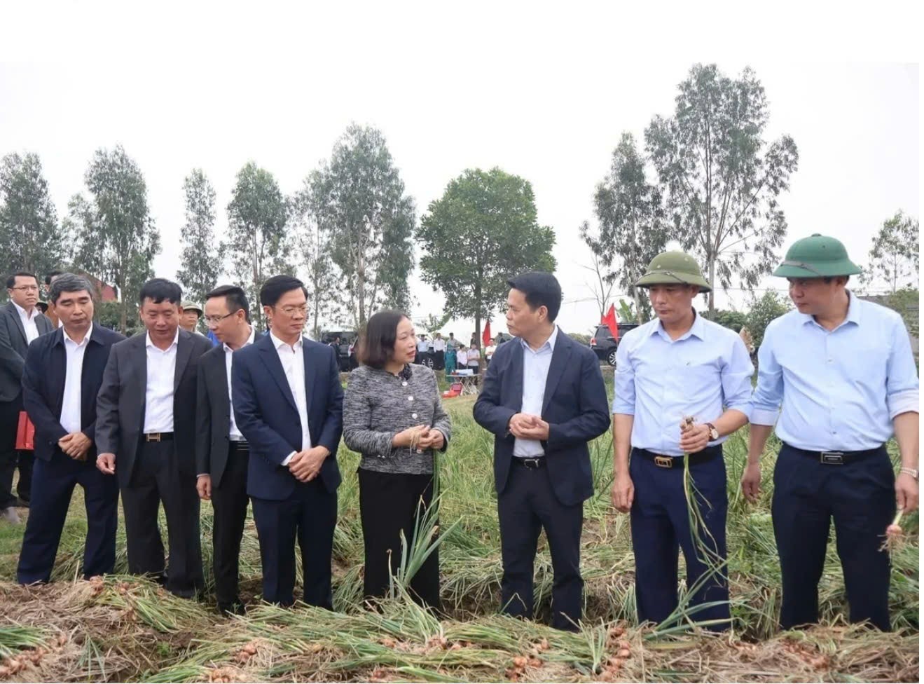 Lãnh đạo thành phố dự Lễ phát động Tết trồng cây Xuân Bính Ngọ 2026 tại phường Đồ Sơn và phường Trần Hưng Đạo