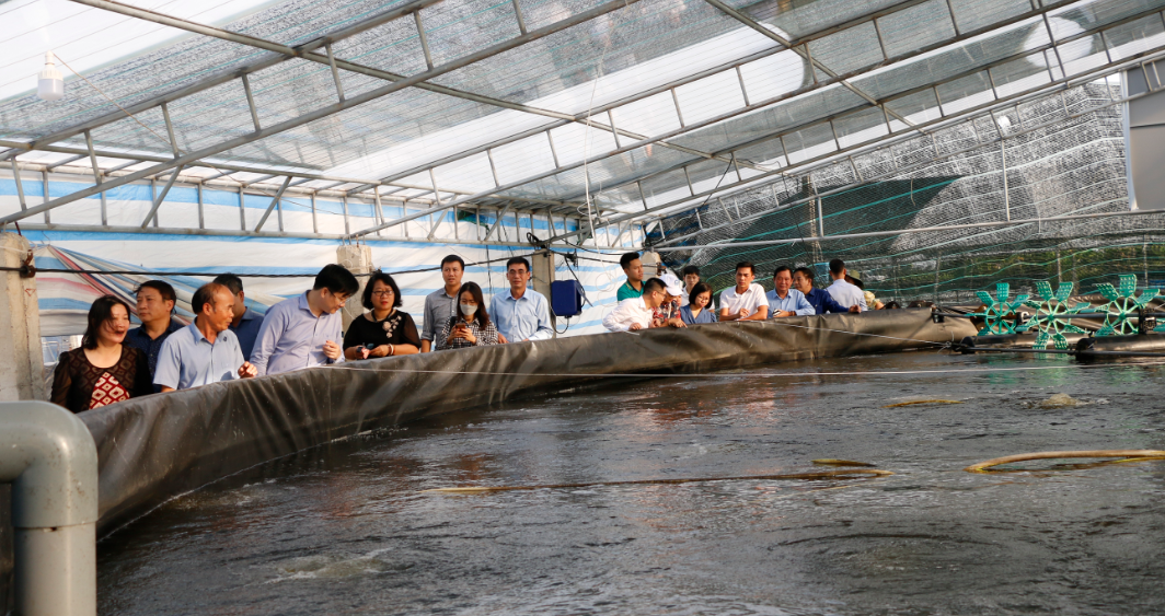 Đoàn công tác Bộ Nông nghiệp tham quan mô hình nuôi tôm công nghệ cao tại Hải Phòng.